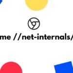 chrome //net-internals/#dns