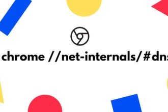 chrome //net-internals/#dns